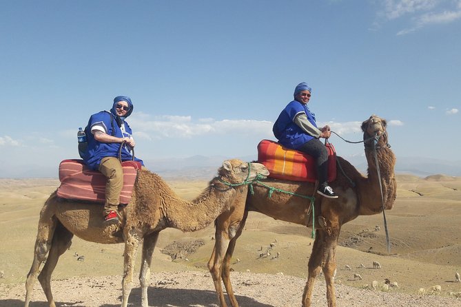 Agafay Desert Camel Ride and Quad Bike With Lunch or Dinner - Easy Booking Process