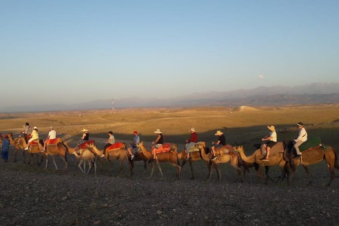 Agafay Desert Camel Ride and Quad Bike With Lunch or Dinner - Free Cancellation Policy