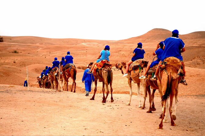 Agafay Desert , Camel Ride , Sunset & Dinner Show - Cancellation Policy