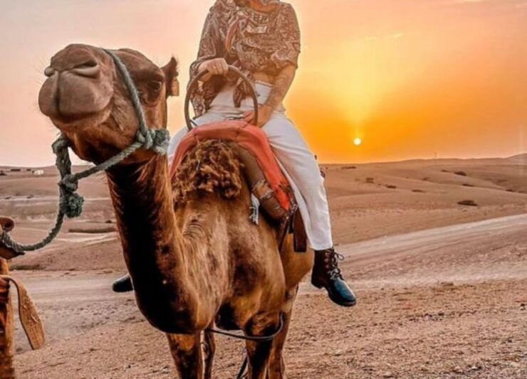 Agafay Desert Camel Ride & Sunset & Dinner - Experience