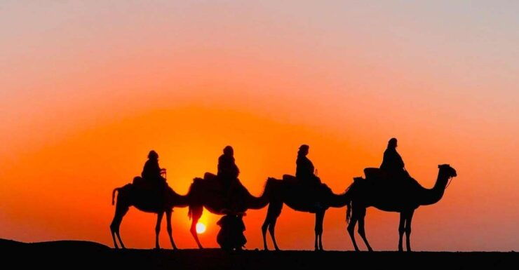 Agafay Desert Camel Ride Sunset Tour With Dinner Show - Sunset Camel Ride Experience