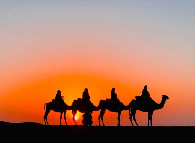 Agafay Desert Camel Ride Sunset Tour With Dinner Show - Cultural Immersion and Dinner Show