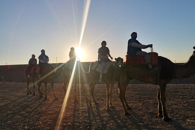 Agafay Desert Camel Ride With Dinner - Advertisements and Operator Legitimacy