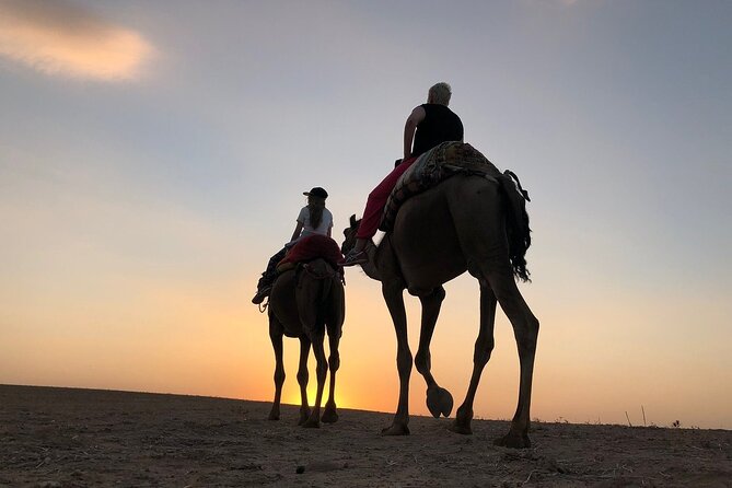 Agafay Desert Camel Ride With Dinner - Customer Support and Information