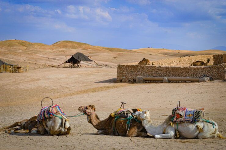 Agafay Desert Camp Pool, Camel Ride, & Lunch - Activity Information