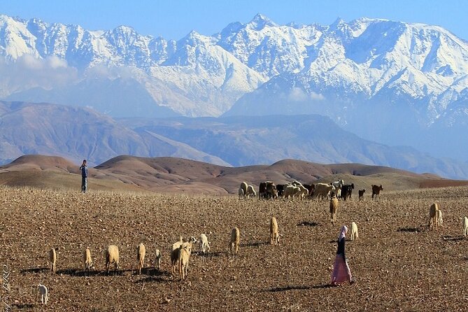 Agafay Desert Day Trip From Marrakech - Stunning Landscapes and Activities