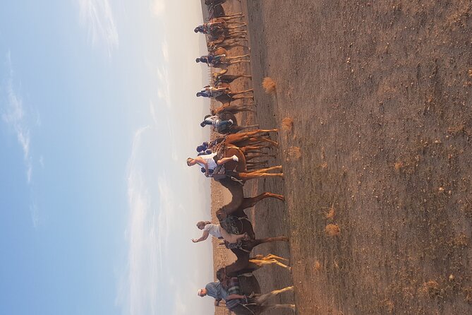 Agafay Desert Dinner and Sunset With Spectacle - Dinner Experience