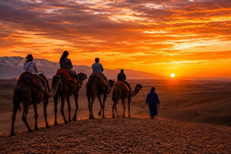 Agafay Desert Dinner, Camel Ride, Traditional Music & Fire Show - Music, a short dance and a fire show under the stars