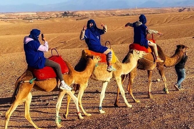 Agafay Desert Dinner & Camel Ride With Show - Pricing and Reservations