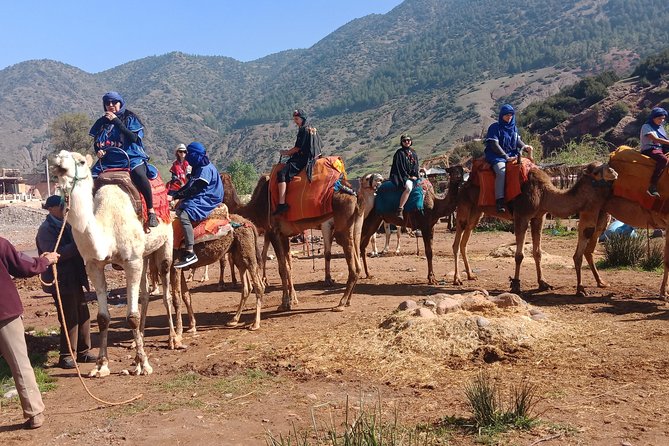 Agafay Desert Full-Day Trip From Marrakech and Camel Ride - Traveler Photos and Reviews