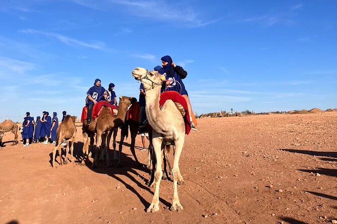Agafay Desert Package, Quad Bike, Camel Ride and Dinner Show - Cancellation Policy and Changes