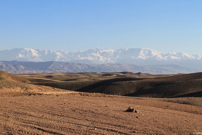 Agafay Desert Package, Quad Bike, Camel Ride and Dinner Show - The Sum Up