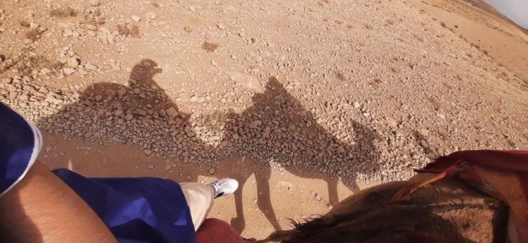 Agafay Desert Package, Quad Bike, Camel Ride and Dinner Show - Booking Flexibility Options