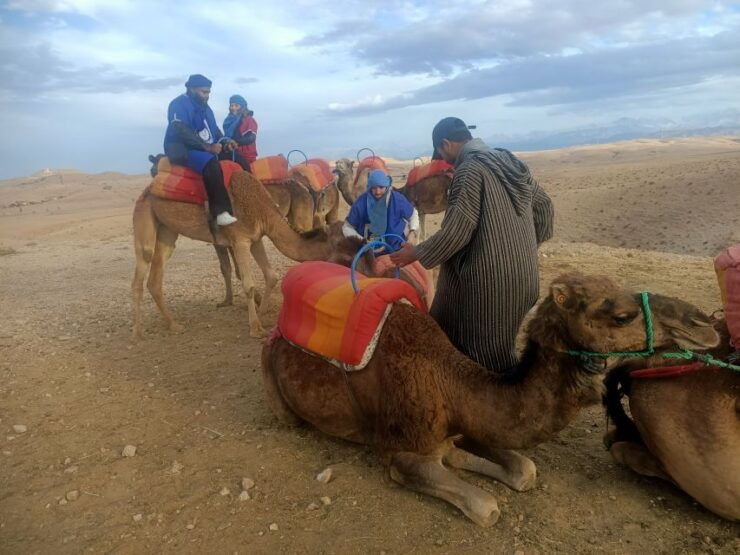 Agafay Desert Quad and Camel Trekking With Dinner - Booking Information