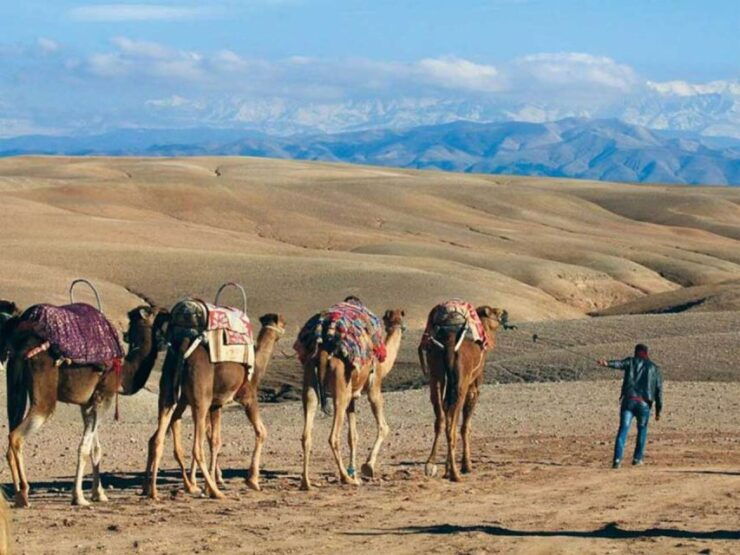Agafay Desert: Quad Bike & Camel Ride and Dinner Show - Experience Overview