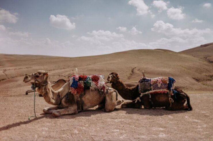 Agafay Desert: Quad Bike & Camel Ride and Dinner Show - Booking Details