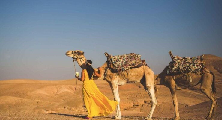 Agafay Desert: Quad Bike or Camel Ride and Dinner Show - Experience Highlights