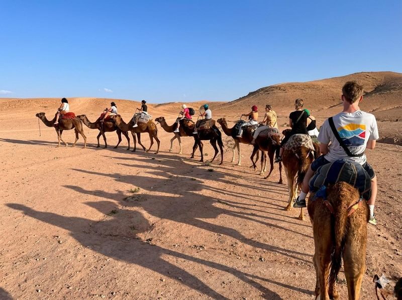Agafay Desert Quad & Camel Rides with Dinner Show in Marrakech - What the price buys, and what it does not