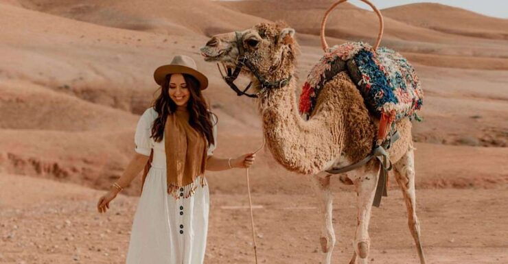 Agafay Desert - Quad Majestic Camel and Magical Dinner Show - Customer Reviews