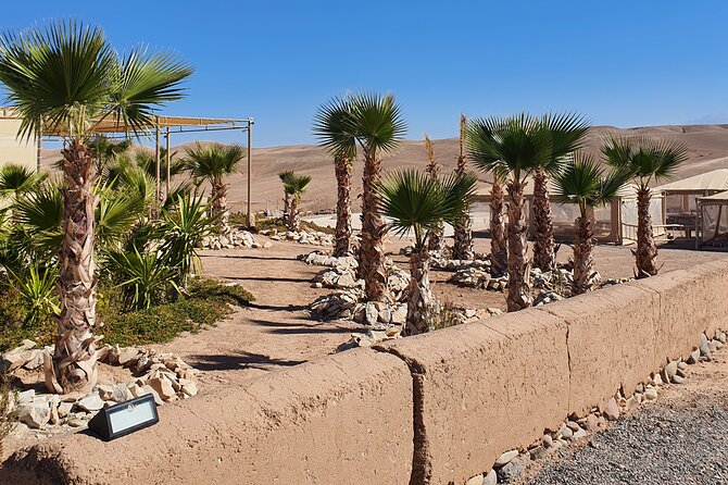 Agafay Desert, Sunset, Camel Ride And Diner - The Sum Up