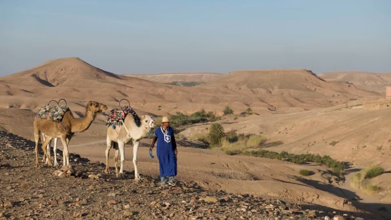 Agafay Desert Sunset Camel Ride & Dinner Experience - Dinner at Desert Magic Camp