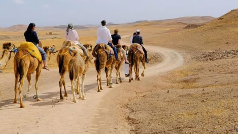 Agafay Desert Sunset Camel Ride & Dinner Experience - Music, fire and the night sky