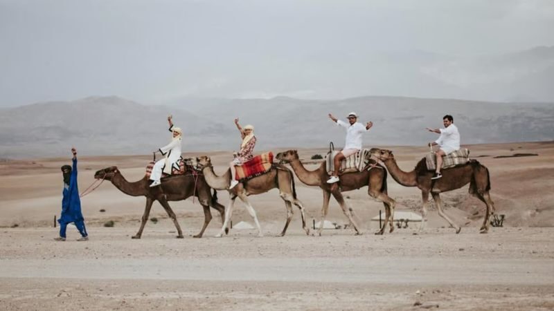 Agafay Desert Sunset Camel Ride & Dinner Experience - What the price buys you