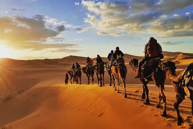 Agafay Desert Sunset Trip With Dinner - Customer Reviews