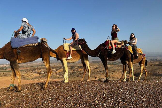 Agafay Desert Tour Show,Dinner With Camel Ride or Quad Biking - Good To Know