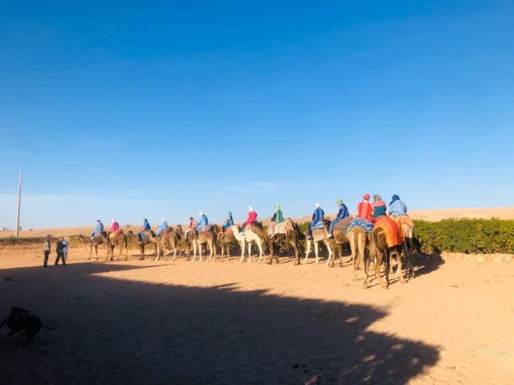 Agafay Desert With Sunset & Camel Ride - Overview of Agafay Desert Experience