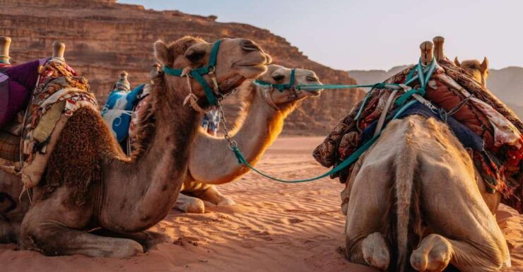 Agafay Dessert Experience - Location Information