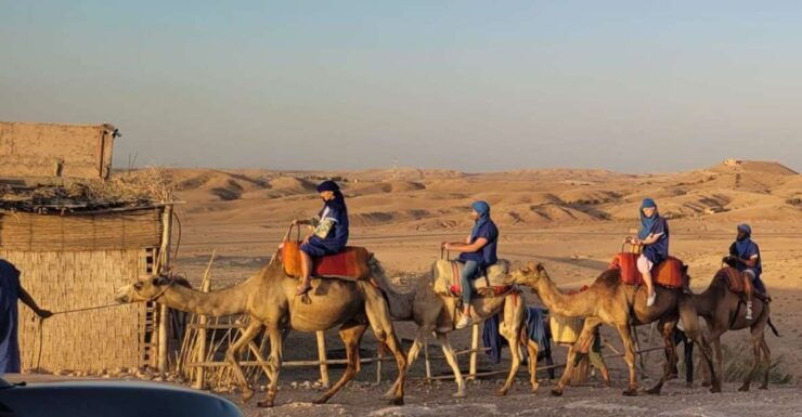 Agafay Guided Camel Riding and Dinner Under Stars - Experience Highlights
