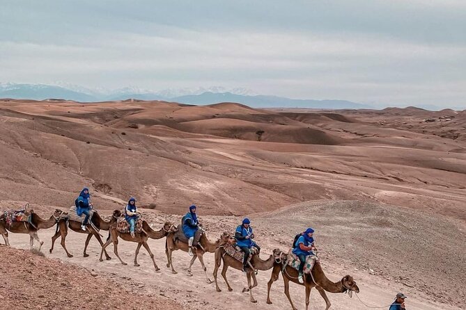 Agafay Magical Dinner With Camel Ride - Operational Information