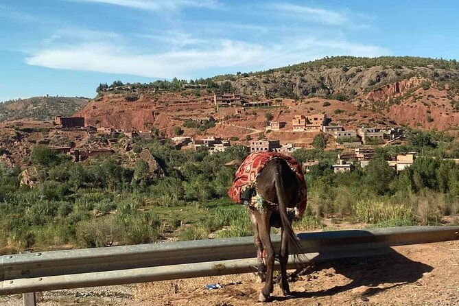 Agafay Overnight & High Atlas Mountains Experience! - Frequently Asked Questions