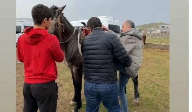 Agalyk Horseback Ride from Samarkand with Local Instructors - Good To Know
