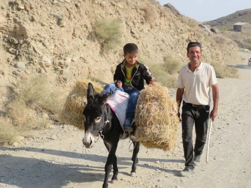 Agalyk Horseback Ride from Samarkand with Local Instructors - The Beauty of the Agalyk Foothills