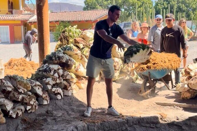 Agave Adventures Mexico - What Sets This Tour Apart?