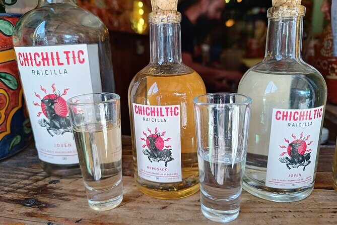 Agave drinks: Pulque, Raicilla, and Mezcal tasting in Guadalajara - Who Is This Tour Best For?