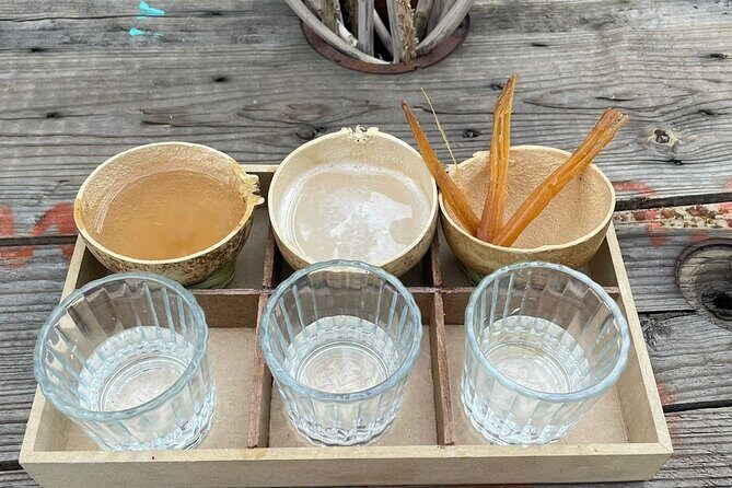 Agave Tasting Journey from Pulque to Mezcal - Starting Point and Atmosphere