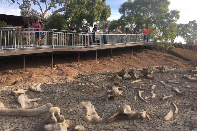 Age of Dinosaurs Museum Half Day Guided Transfer from Winton - The Authentic Experience: What You’ll Love