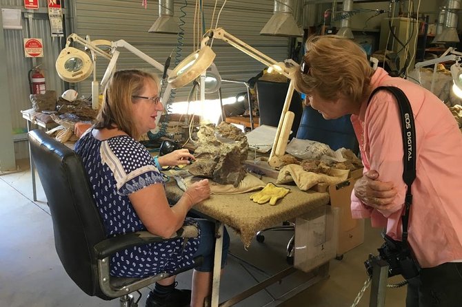 Age of Dinosaurs Museum Half Day Tour With Red Dirt Tours - Cancellation Policy