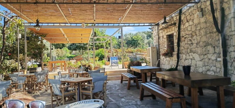 Agia Marina - Chania - visit to an oil mill and organic winery - A Closer Look at the Tour Experience