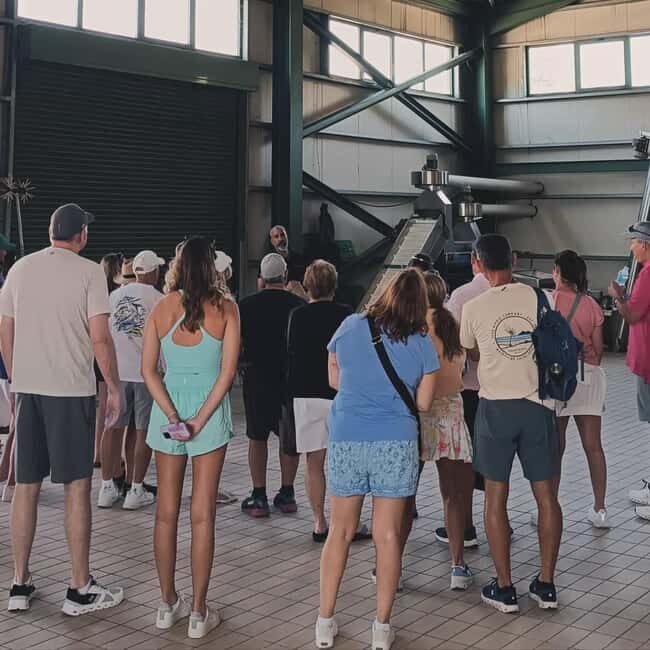 Agia Marina - Chania - visit to an oil mill and organic winery - What’s Included and What’s Not