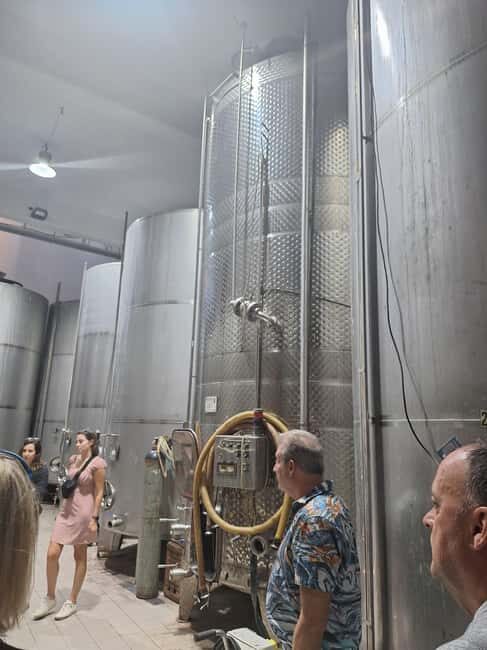 Agia Marina - Chania - visit to an oil mill and organic winery - The Experience Provider: Les Dégustations de Platonie