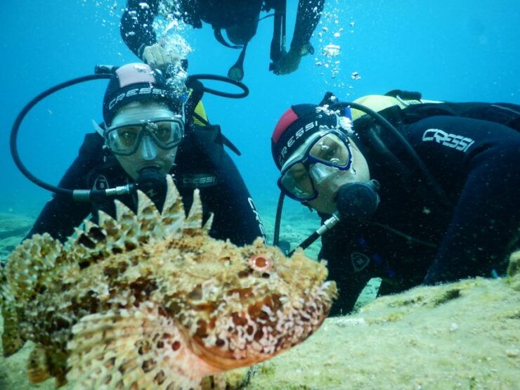 Agia Pelagia: Introduction to Scuba Diving Experience - Dive Highlights