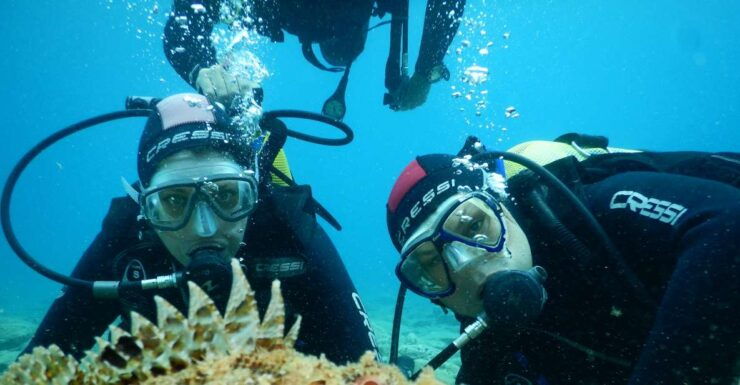 Agia Pelagia: Introduction to Scuba Diving Experience - Activity Details
