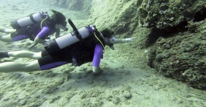 Agia Pelagia: PADI Open Water Diver International Course - Group Size and Language