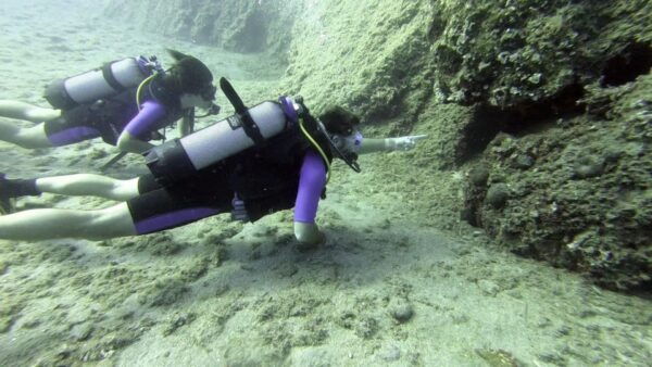 Agia Pelagia: PADI Open Water Diver International Course - Reviews and Testimonials