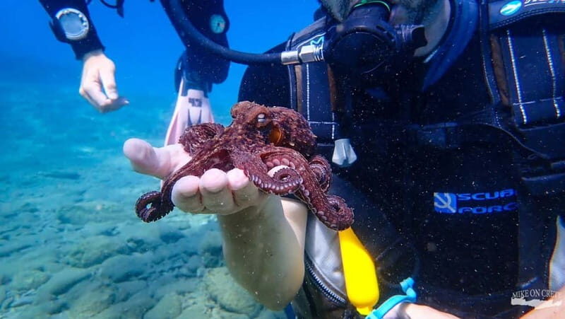 Agia Pelagia: Scuba Diving Activity for Children - Is It Worth the Price?