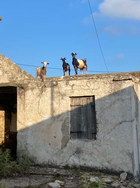 Agia Pelagia: Sunset or Morning Quad Tour & Ghost Town Visit - FAQs